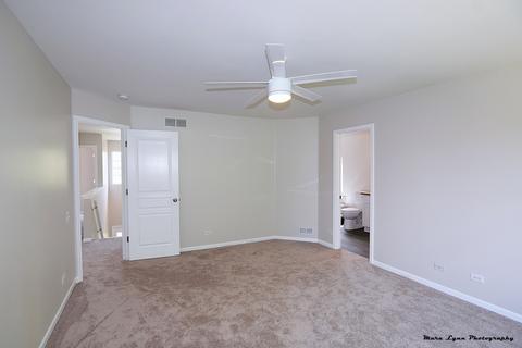 472 Snow Drift Cir, Bartlett, IL 60103 photo 27