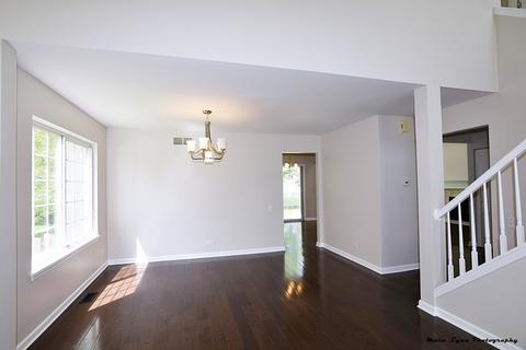 472 Snow Drift Cir, Bartlett, IL 60103 photo 8
