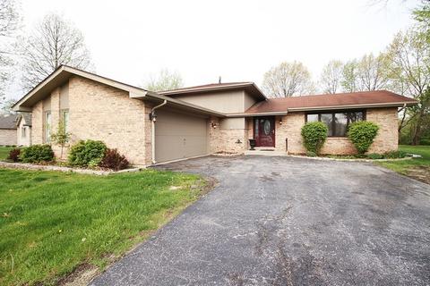 3340 E Forestview Trl, Crete, IL 60417 photo 1