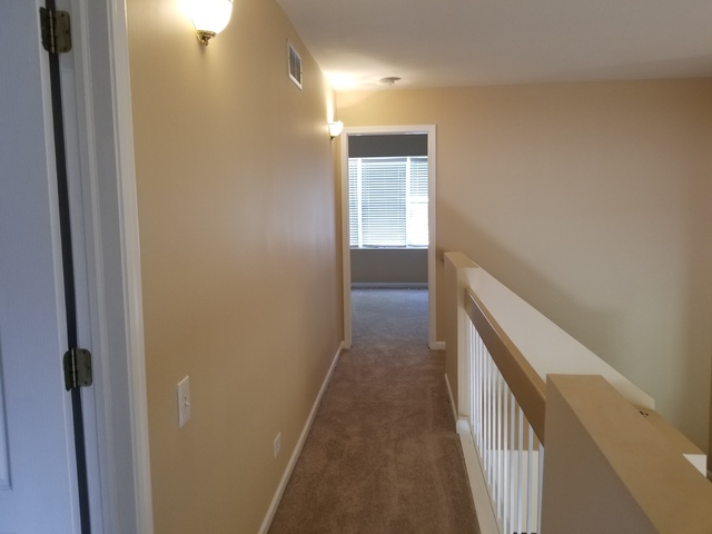 4728 Amber Cir, Hoffman Estates, IL 60192 photo 20