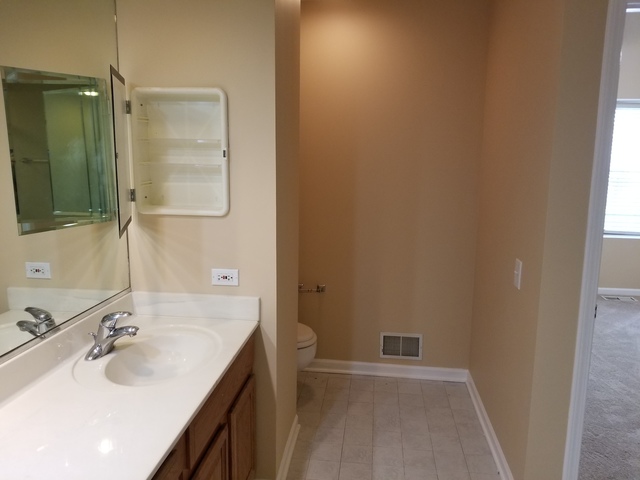 4728 Amber Cir, Hoffman Estates, IL 60192 photo 25