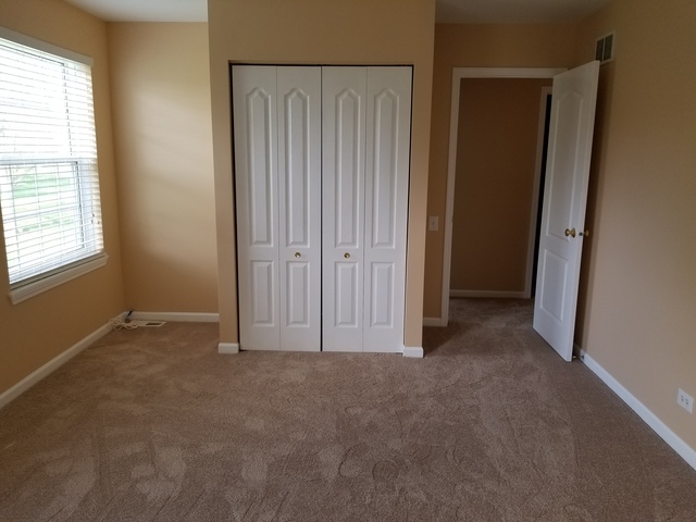 4728 Amber Cir, Hoffman Estates, IL 60192 photo 19