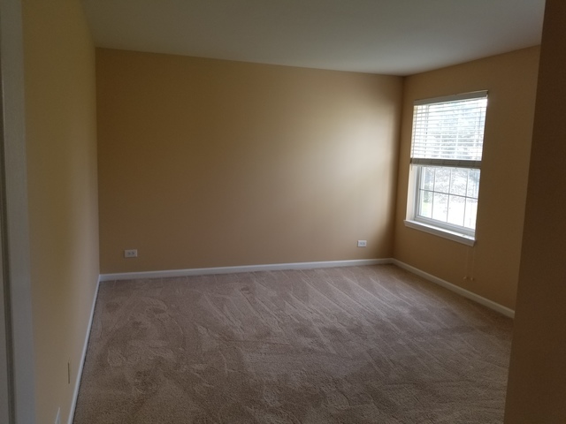 4728 Amber Cir, Hoffman Estates, IL 60192 photo 16