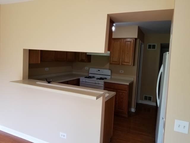 4728 Amber Cir, Hoffman Estates, IL 60192 photo 6