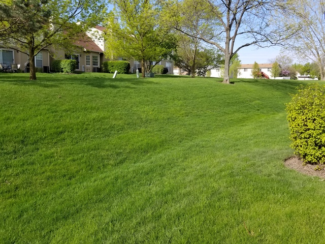 4728 Amber Cir, Hoffman Estates, IL 60192 photo 14