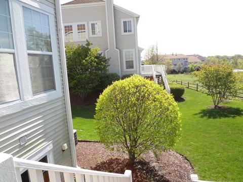 101 Katrina Ln, Algonquin, IL 60102 photo 18
