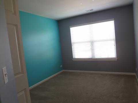 101 Katrina Ln, Algonquin, IL 60102 photo 11