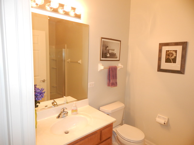 2992 Talaga Dr, Algonquin, IL 60102 photo 14