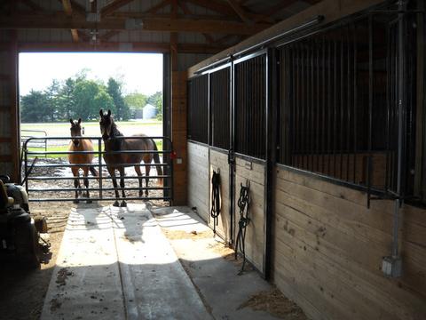 2510 E 1150 North Rd, Assumption, IL 62510 photo 2