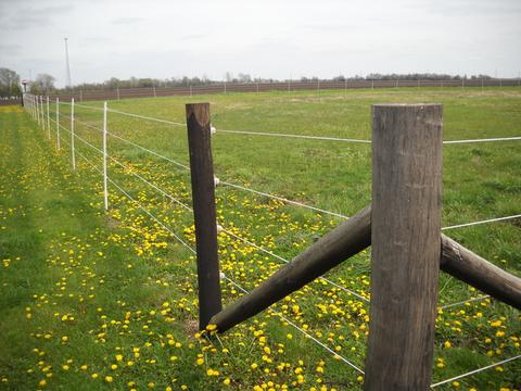 2510 E 1150 North Rd, Assumption, IL 62510 photo 20