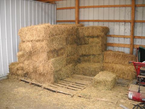 2510 E 1150 North Rd, Assumption, IL 62510 photo 19