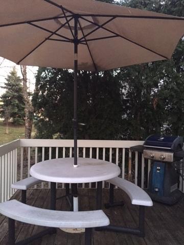 1 Riverdale Ct, Algonquin, IL 60102 photo 20