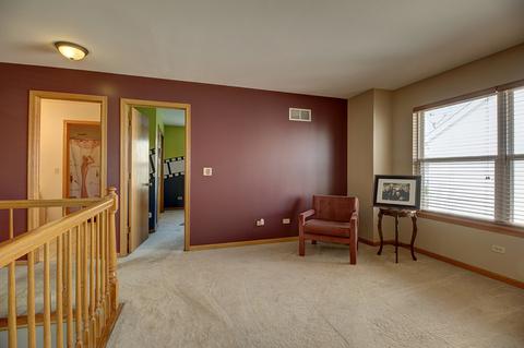 5313 Maple Glen Dr, Plainfield, IL 60586 photo 23