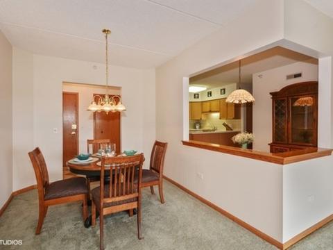 405 W Front St #402, Wheaton, IL 60187 photo 4
