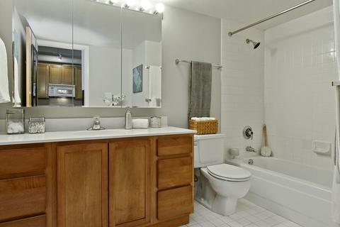 801 S Wells St #706, Chicago, IL 60607 photo 9