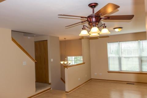 604 Silver Leaf Dr, Joliet, IL 60431 photo 2