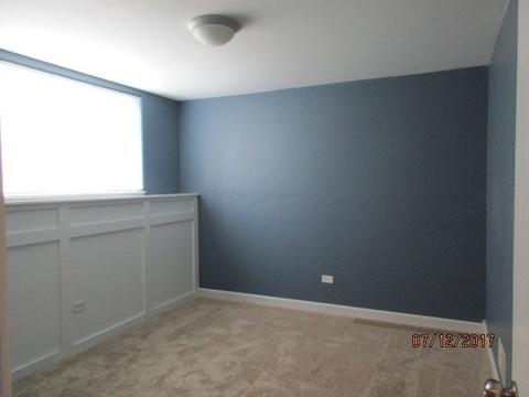 604 Silver Leaf Dr, Joliet, IL 60431 photo 12