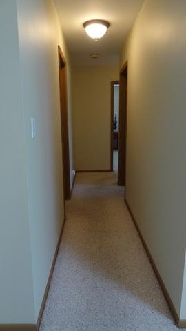 201 E Walters Ln #2B, Itasca, IL 60143 photo 14
