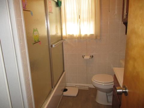 527 E Dakota St, Spring Valley, IL 61362 photo 9