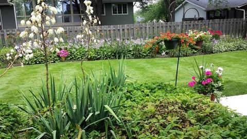 922 E Paddock Dr, Palatine, IL 60074 photo 23