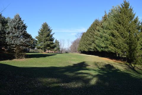 1636 Cary Rd, Algonquin, IL 60102 photo 7