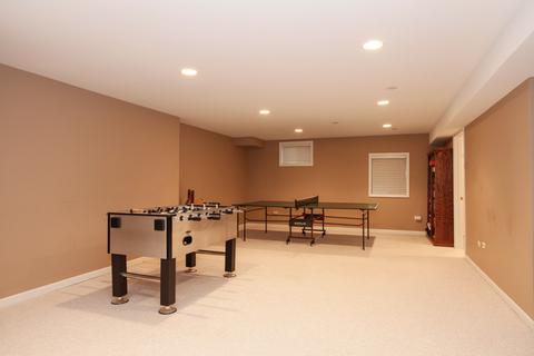 876 Deerpath Ct, Wheaton, IL 60189 photo 19
