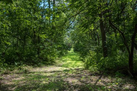 33 W740 White Thorne Rd, Wayne, IL 60184 photo 36