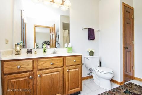 125 1st St, Itasca, IL 60143 photo 12