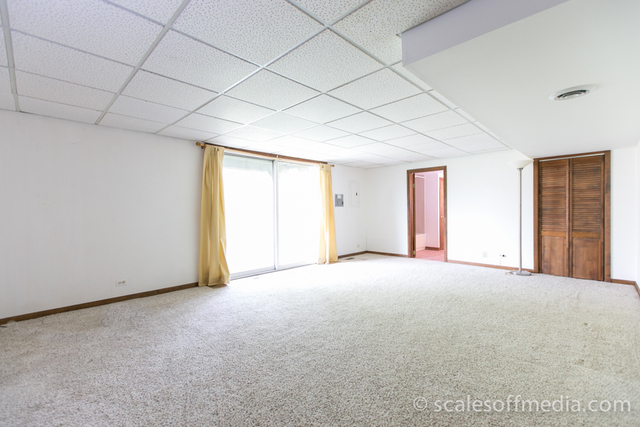 4532 Olmstead Dr, Hoffman Estates, IL 60192 photo 18