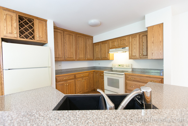 4532 Olmstead Dr, Hoffman Estates, IL 60192 photo 3