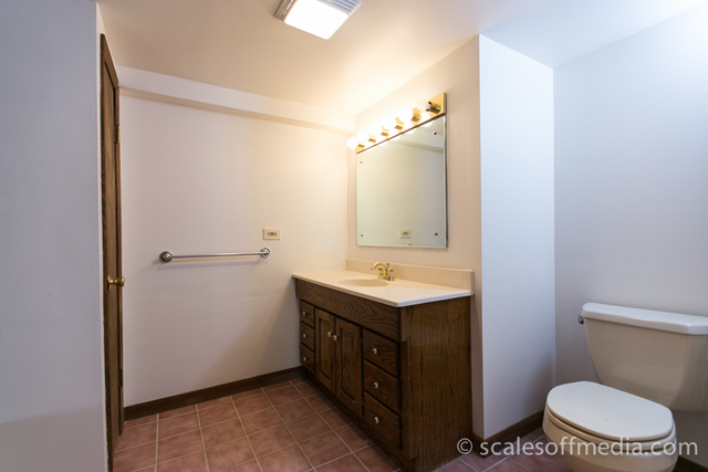 4532 Olmstead Dr, Hoffman Estates, IL 60192 photo 20
