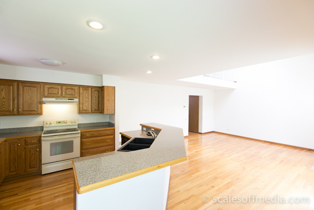 4532 Olmstead Dr, Hoffman Estates, IL 60192 photo 4