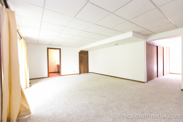 4532 Olmstead Dr, Hoffman Estates, IL 60192 photo 17