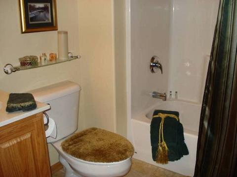 1933 Waters Edge Dr, Minooka, IL 60447 photo 11