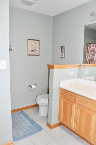 17009 Danielle Ct, Oak Forest, IL 60452 photo 21