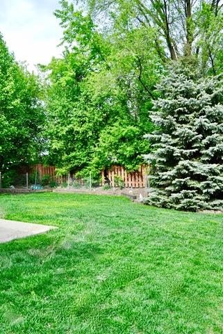 17009 Danielle Ct, Oak Forest, IL 60452 photo 26