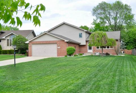 17009 Danielle Ct, Oak Forest, IL 60452 photo 1