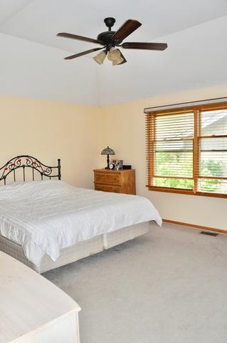 17009 Danielle Ct, Oak Forest, IL 60452 photo 19