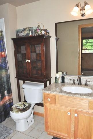 17009 Danielle Ct, Oak Forest, IL 60452 photo 17