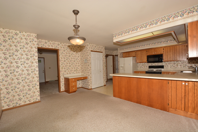 516 E Walnut St E, Peotone, IL 60468 photo 4