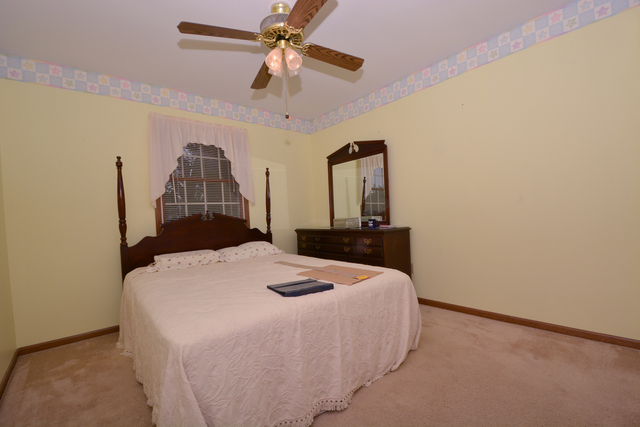 516 E Walnut St E, Peotone, IL 60468 photo 16