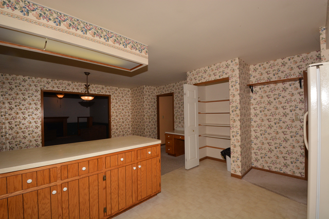 516 E Walnut St E, Peotone, IL 60468 photo 10