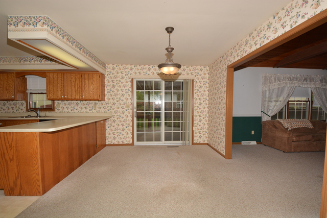 516 E Walnut St E, Peotone, IL 60468 photo 8