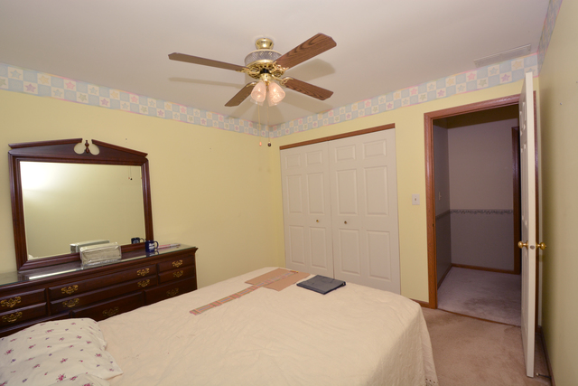 516 E Walnut St E, Peotone, IL 60468 photo 17