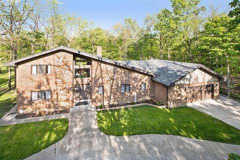 26905 S Sylvan Ln, Monee, IL 60449 photo 1