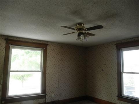 128 E Cleveland St, Spring Valley, IL 61362 photo 9