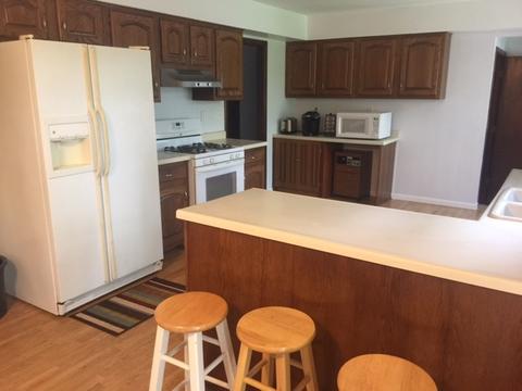 309 E Willow St, Elburn, IL 60119 photo 3