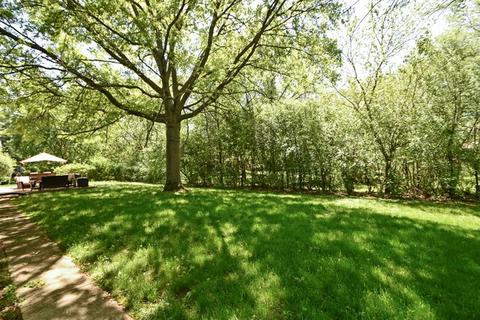 2624 207th St, Olympia Fields, IL 60461 photo 20