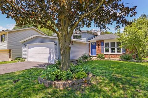 1413 Coolidge Ave, Wheaton, IL 60189 photo 19
