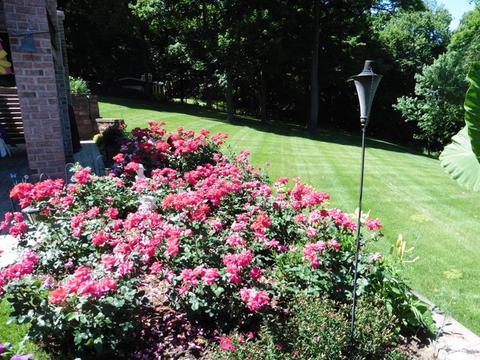 10460 N River Rd, Algonquin, IL 60102 photo 28